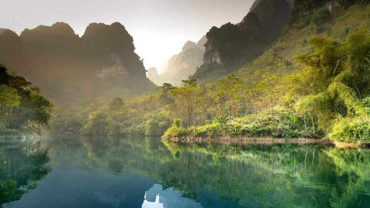 绿色科技